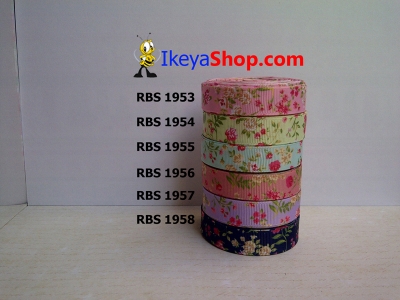 Pita RBS 1953 1958  large2